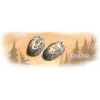 Rune Stones Queenie 1: Neue Runensteine -Speelgoedwinkel Voor Spellen rune stones queenie 1 neue runensteine